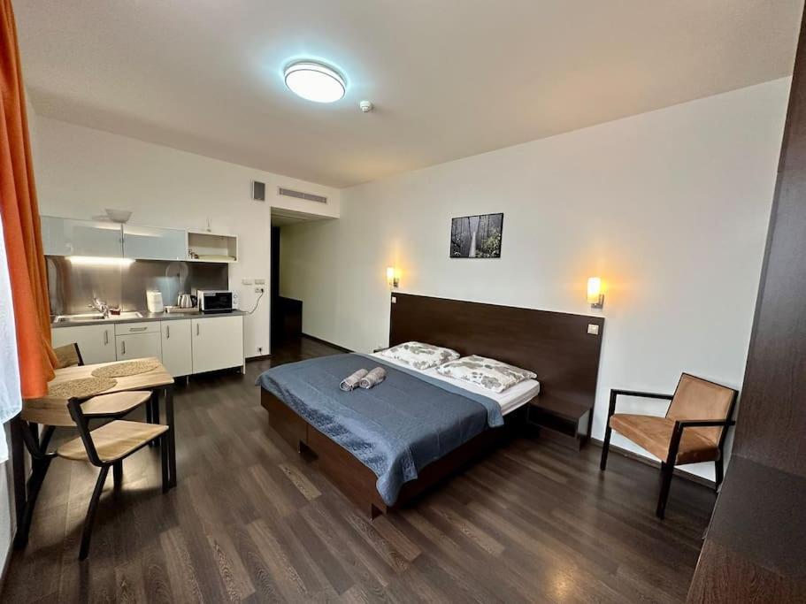 Apartman Priamo Na Hlavnej Ulici Kösice Dış mekan fotoğraf
