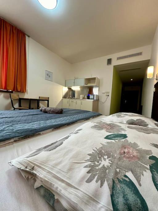 Apartman Priamo Na Hlavnej Ulici Kösice Dış mekan fotoğraf
